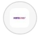 instaPay logo