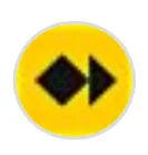 PAGO EFFECTIVO logo