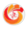Nagad logo
